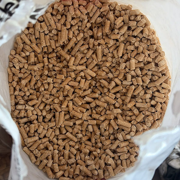 pellet-dunski3