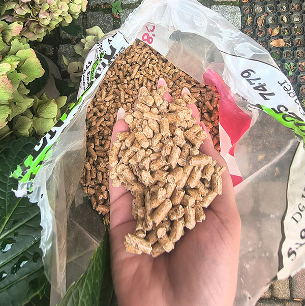 pellet-dunski4